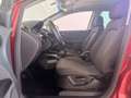 SEAT Altea 1.6 Stylance Dual Rosso - thumbnail 12