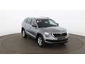 Skoda Kodiaq 2.0 TDI Style Aut 7-SITZER LED STANDHZG Grau - thumbnail 7