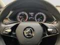 Skoda Superb Combi 2.0TDI DSG 4x4 Scout Matrix AHK APP Schwarz - thumbnail 9