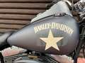 Harley-Davidson FLSTFB Fat Boy Special / Lo *1.HD, 103er, ABS* Серый - thumbnail 9