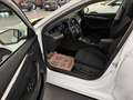 Skoda Octavia Combi 2,0TDI DSG Style *LED*NAVI*ACC*Sitzheizun... Weiß - thumbnail 11