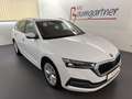 Skoda Octavia Combi 2,0TDI DSG Style *LED*NAVI*ACC*Sitzheizun... Weiß - thumbnail 1