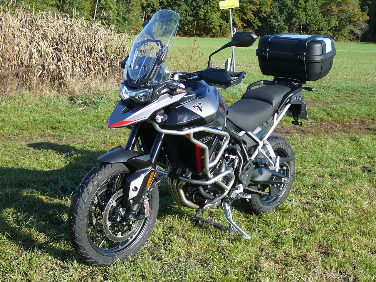 Triumph Tiger 900