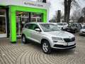 Skoda Karoq Style Grau - thumbnail 1