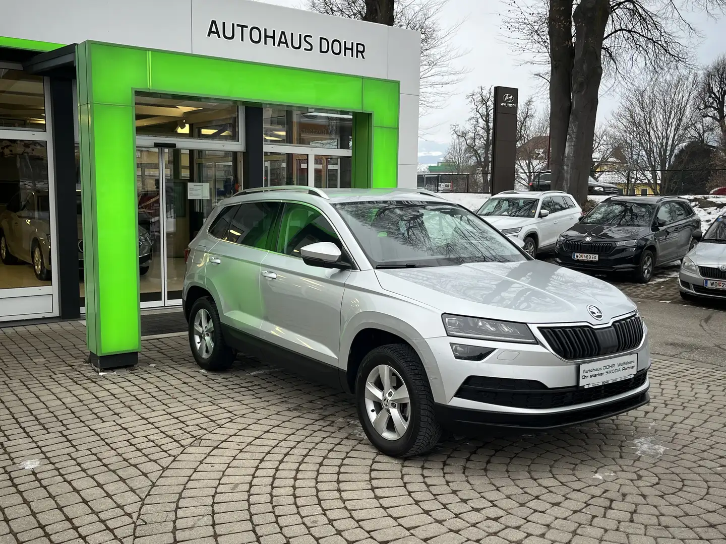 Skoda Karoq Style Grau - 1