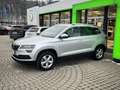 Skoda Karoq Style Grau - thumbnail 3