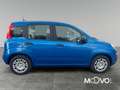 Fiat Panda 2024 Pandina 1.0 firefly hybrid s Blu/Azzurro - thumbnail 5