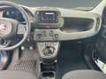 Fiat Panda 2024 Pandina 1.0 firefly hybrid s Blu/Azzurro - thumbnail 9