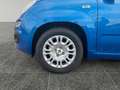 Fiat Panda 2024 Pandina 1.0 firefly hybrid s Blu/Azzurro - thumbnail 11
