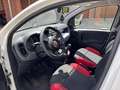 Fiat Panda Panda 1.2 Pop Van 2 posti Bianco - thumbnail 9