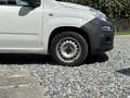 Fiat Panda Panda 1.2 Pop Van 2 posti Bianco - thumbnail 6