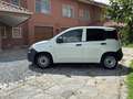 Fiat Panda Panda 1.2 Pop Van 2 posti Bianco - thumbnail 5