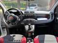 Fiat Panda Panda 1.2 Pop Van 2 posti Bianco - thumbnail 11