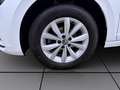 Volkswagen Polo 1.0 TSI HIGHLINE KAMERA PDC SITZHZG KLIMA Weiß - thumbnail 8