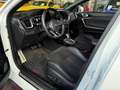 Kia ProCeed / pro_cee'd GT RFK PANO SHZ LED NAVI Blanc - thumbnail 7