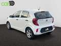 Kia Picanto 1.0 CVVT Concept Plus Blanco - thumbnail 2