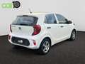 Kia Picanto 1.0 CVVT Concept Plus Blanco - thumbnail 4