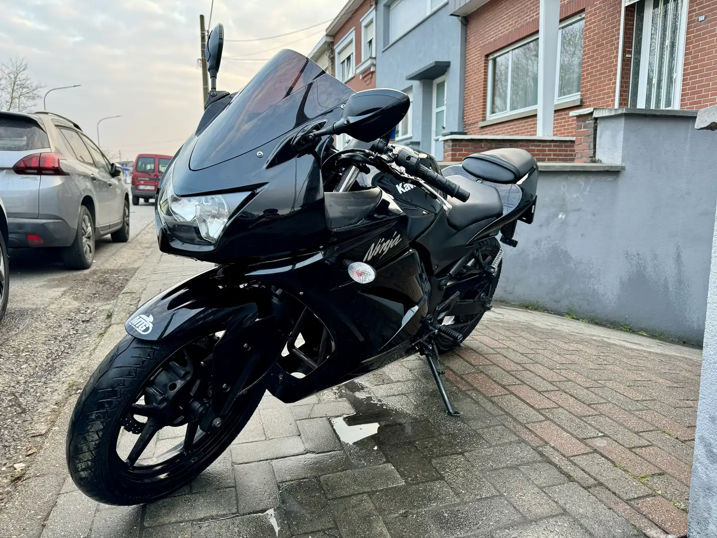 Kawasaki Ninja 250 R - 1