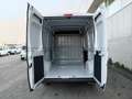 Fiat Ducato ducato 35 MH2 2.2 mjt3 140cv serie 9 Wit - thumbnail 20