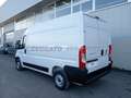 Fiat Ducato ducato 35 MH2 2.2 mjt3 140cv serie 9 Wit - thumbnail 6
