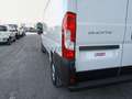 Fiat Ducato ducato 35 MH2 2.2 mjt3 140cv serie 9 Wit - thumbnail 10