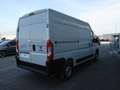 Fiat Ducato ducato 35 MH2 2.2 mjt3 140cv serie 9 Wit - thumbnail 4