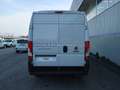 Fiat Ducato ducato 35 MH2 2.2 mjt3 140cv serie 9 Wit - thumbnail 5