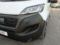 Fiat Ducato ducato 35 MH2 2.2 mjt3 140cv serie 9 Wit - thumbnail 8