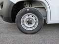 Fiat Ducato ducato 35 MH2 2.2 mjt3 140cv serie 9 Wit - thumbnail 9