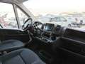 Fiat Ducato ducato 35 MH2 2.2 mjt3 140cv serie 9 Wit - thumbnail 21