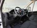 Fiat Ducato ducato 35 MH2 2.2 mjt3 140cv serie 9 Wit - thumbnail 11