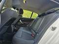 BMW 116 116 d Efficient Dynamics Advantage Weiß - thumbnail 5