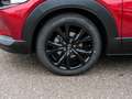 Mazda CX-30 2025 Homura 2.5L e-SKYACTIV G 140PS AT FWD HUD Nav Rot - thumbnail 4