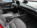 Mazda CX-30 2025 Homura 2.5L e-SKYACTIV G 140PS AT FWD HUD Nav Rot - thumbnail 12