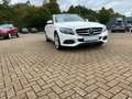 Mercedes-Benz C 400 T Avantgarde 4Matic C 400 T*STHZG*PANO*LED Klima Blanc - thumbnail 5