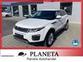 Land Rover Range Rover Evoque *AUTOMATIK*NAVI*CAM*PDC*EURO6* Weiß - thumbnail 1