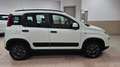 Fiat Panda 1.3 mjt 16v 4x4 75cv - thumbnail 8