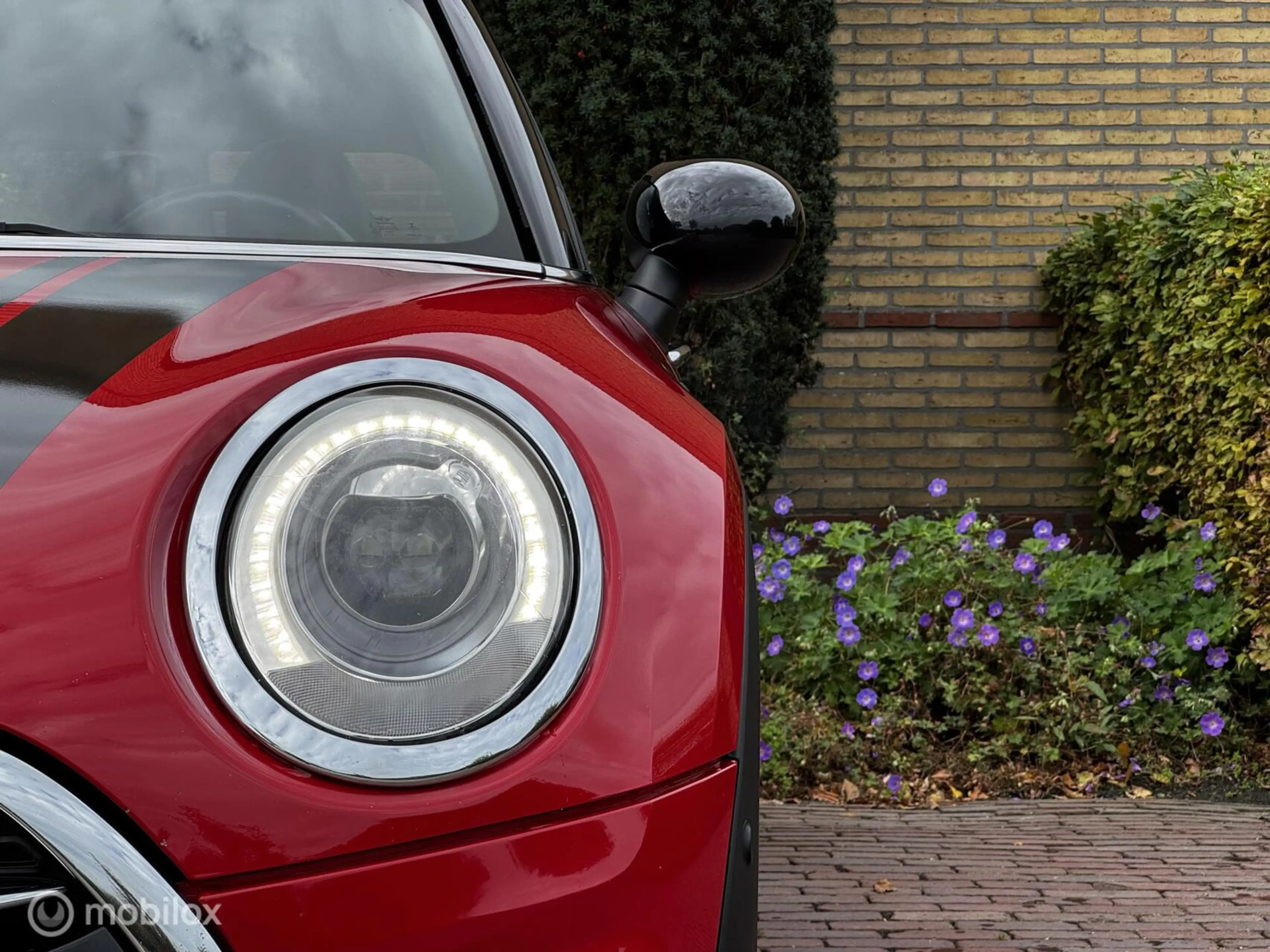 MINI Cooper S Clubman 2.0 Chili Serious Business JCW-Pakket*Pano — photo 6