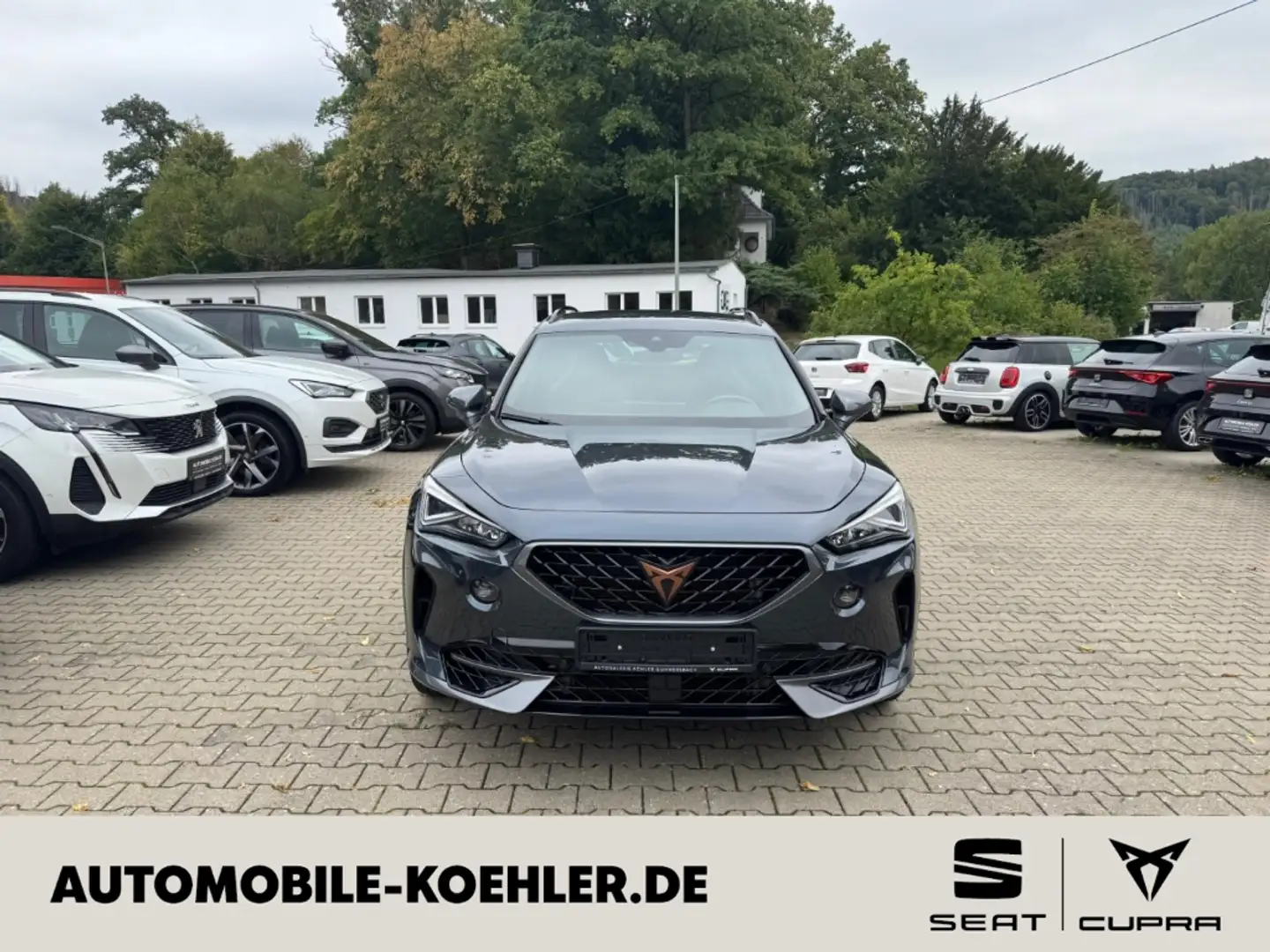 CUPRA Formentor VZ 4Drive 2.0 TSI AHK, BeatsAudio Full Link Gris - 1