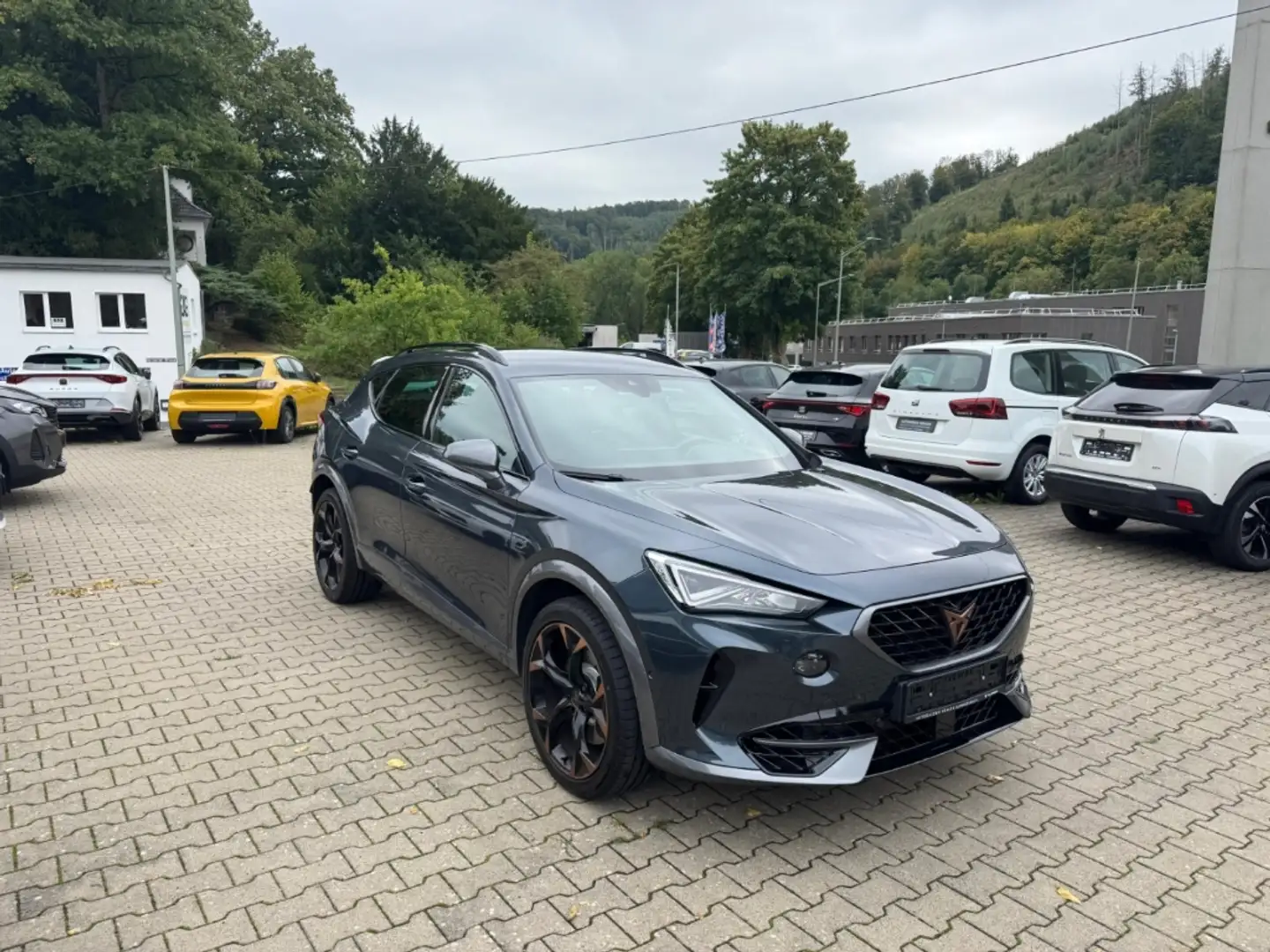 CUPRA Formentor VZ 4Drive 2.0 TSI AHK, BeatsAudio Full Link Gris - 2