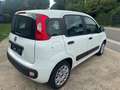Fiat Panda Panda 1.2i Lounge Білий - thumbnail 2