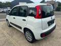 Fiat Panda Panda 1.2i Lounge Білий - thumbnail 4