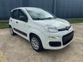 Fiat Panda Panda 1.2i Lounge Білий - thumbnail 3