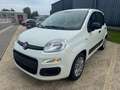 Fiat Panda Panda 1.2i Lounge Білий - thumbnail 1