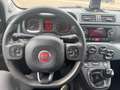 Fiat Panda Panda 1.2i Lounge Білий - thumbnail 8