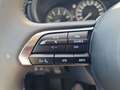Mazda CX-30 e-Skyactive G140 Nagisa Aut. Grau - thumbnail 20