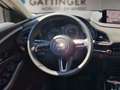 Mazda CX-30 e-Skyactive G140 Nagisa Aut. Grau - thumbnail 12