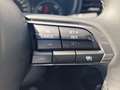 Mazda CX-30 e-Skyactive G140 Nagisa Aut. Grau - thumbnail 21