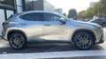Lexus NX 450h+ 450h+ Executive 4WD MY25 - thumbnail 4