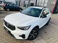 Volvo XC40 XC40 Plus Dark 2WD/Navi/Harman-Kardon Weiß - thumbnail 10